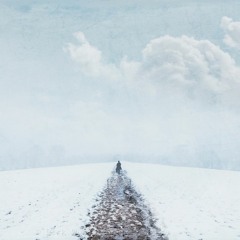Snow Walking Wonder