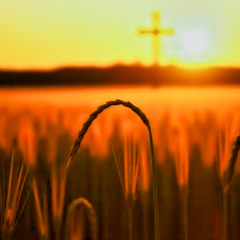 Humble Yourself Will Be Exalted
