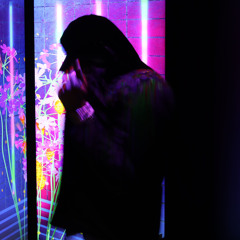 shadow wizard money gang