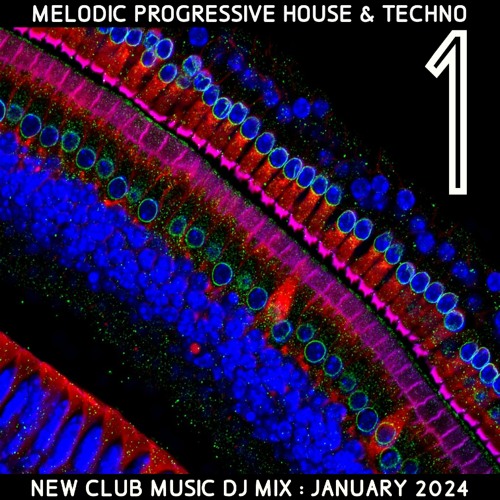 New Club Music 1 Jan 2024 MPHT 1st DJ mix Melodic Progressive House & Techno ELECTRONIC DANCE EDM