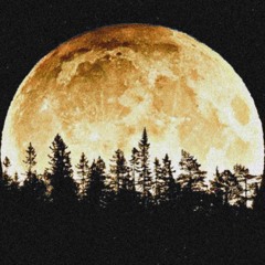 WOLFSBANE (prod. SNRP)