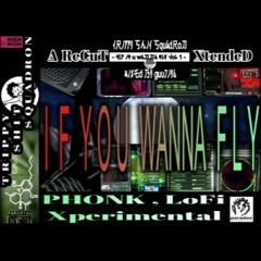 IF YOU WANNA FLY [TSS RECUTxtended TRAPPIN TAPES VoL 1]