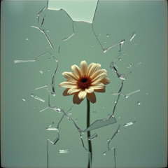 Chaotic Symphony
