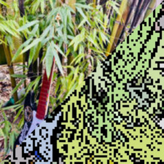 Chiptune Hill