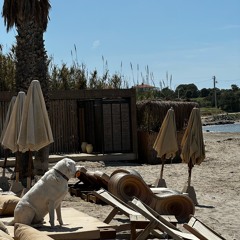 Hande Yener - Havaalanı [Afro House Remix]