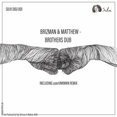 Brizman and Matthew - After 22  (userUNKNWN remix)