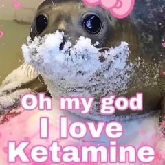 Le set tribe et dla picouse dans le bras