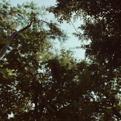 Decompression Mix 4 - Melodic House 🏜️ 🏕️