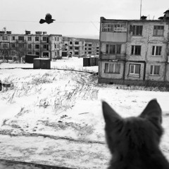 порожняк - безысходность