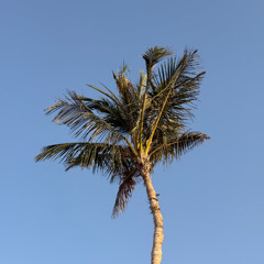 OLESYA.DJ__AFROHOUSE__SUMMER2025