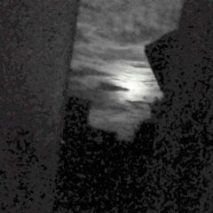 Theory Of The Nights | 31.08.23