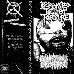 Deranged Toilet Torture / Gangrene Discharge - Split 2023 Mincegore / Goregrind