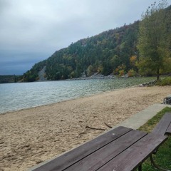 Silent Echoes - Steven Blessinger.mp3