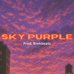 Sky Purple ( Playboi Carti type beat x Pierre Bourne Type Beat )