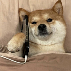 SMACK THAT 2017 - DJ ROBI