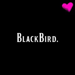 blackbird. ambient. (The Beatles cover)