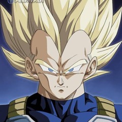 SS VEGETA