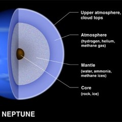 The Neptune Society