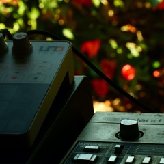 Last Summer #1(acid)