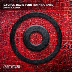 Amine K - Burning Paris