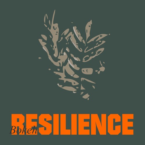 Bokeh - Resilience // Mind To Recall / Resilience (Clip)