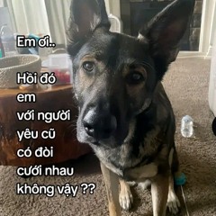 LIỄU THANH YÊN x AN HÀ KIỀU REMIX ( SS X AM) - THƯƠNG MÁ EM HỒNG LẠNH CÂM TRONG BÓNG ĐÊM REMIX