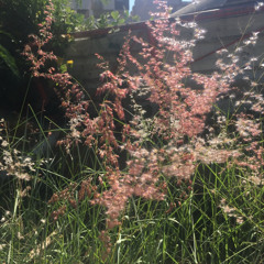 Holly Humberstone - Falling Asleep at the Wheel