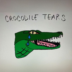 offyounglipe - CARTIER