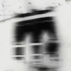 STAY DOWN (prod TylurOcean + Mo Beats)