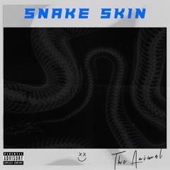 Snake Skin
