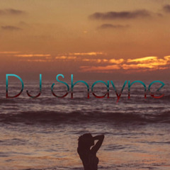 MEGA MIX - DJ Shayne