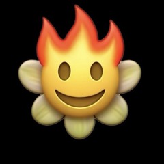 atbjerk- Flower(Remix)