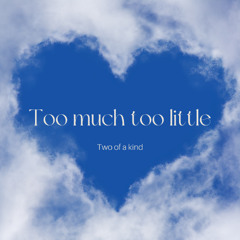 Too Much, Too Little