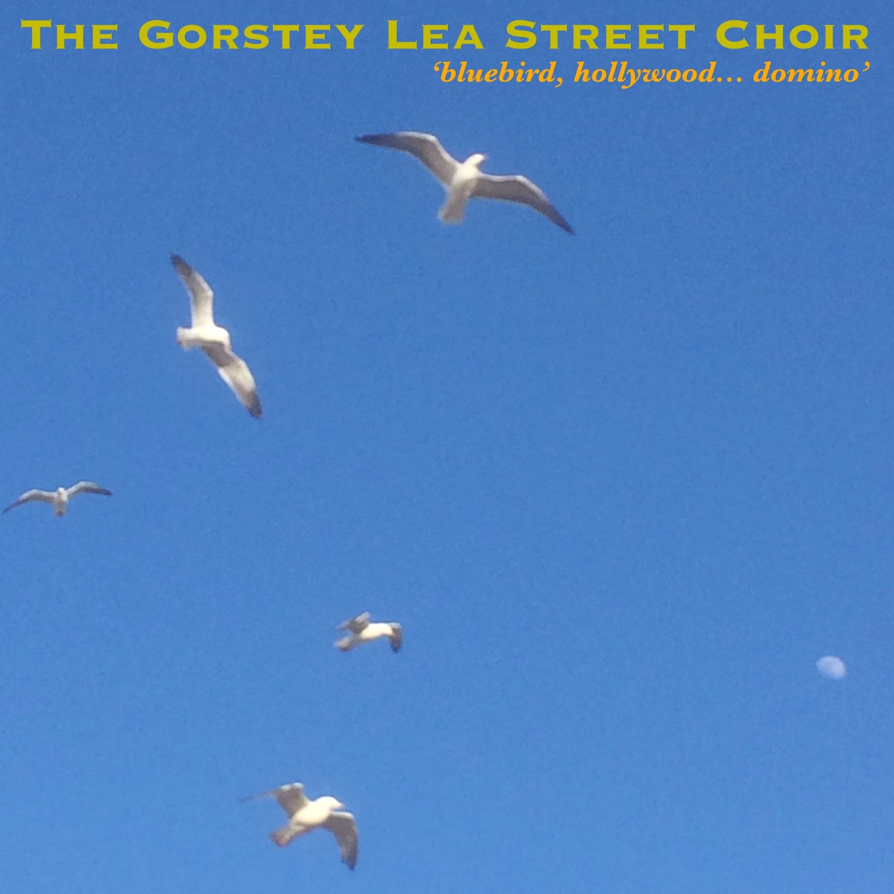 The Gorstey Lea Street Choir