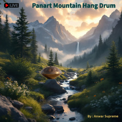 Panart Mountain Hang Drum (live play)