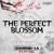 Artwork for Undecided - The Perfect Blossom (Official Shangri-La Anthem)