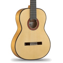 Alhambra 10FC By Fakhri Flamenco