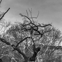 08-01-25, 06:00 pm ❤️ // The Blue Hour ❤️ somewhere // ❤️❤️❤️ : LOG the ERROR