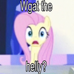 WTHELLY by rob 49 (xxkonrayxx)