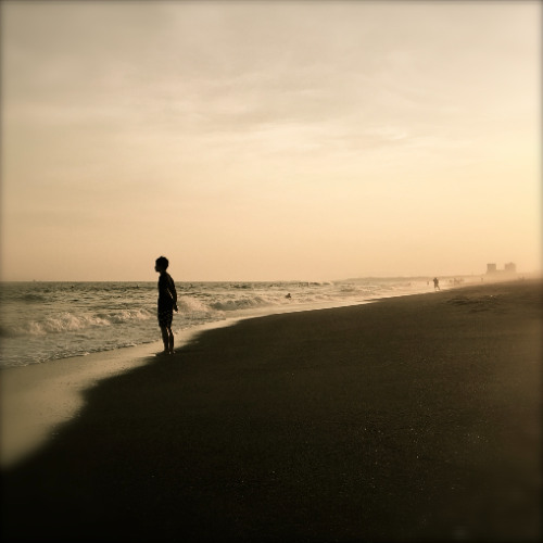 Water's Edge / Moshimoss