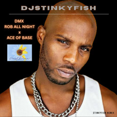 DMX - Rob All Night x Ace of Base - Cruel Summer (Stinkyfish Remix)