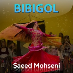 Saeed Mohseni - Bibigol