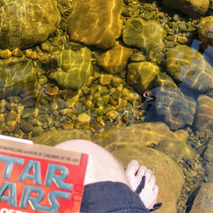 Ep. 13: The Perfect Nook for a Book: How to Create the Ultimate Reading Escape with a Water Feature