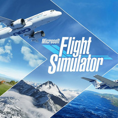 Microsoft Flight Simulator Color 1 Extended Mix [NOT MINE]