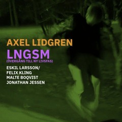 LNGSM (övergång till ny livsfas)