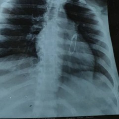 Onno Karo Hoyona Demo