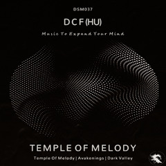 DSM037 | DCF (HU) - Dark Valley (Original Mix)