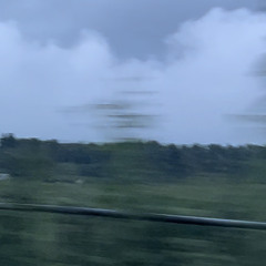 殻