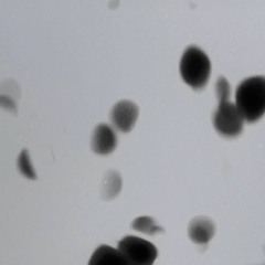 TRIVIAL DELAMINATION