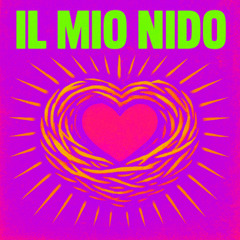 IL MIO NIDO - ALBUM 2027
